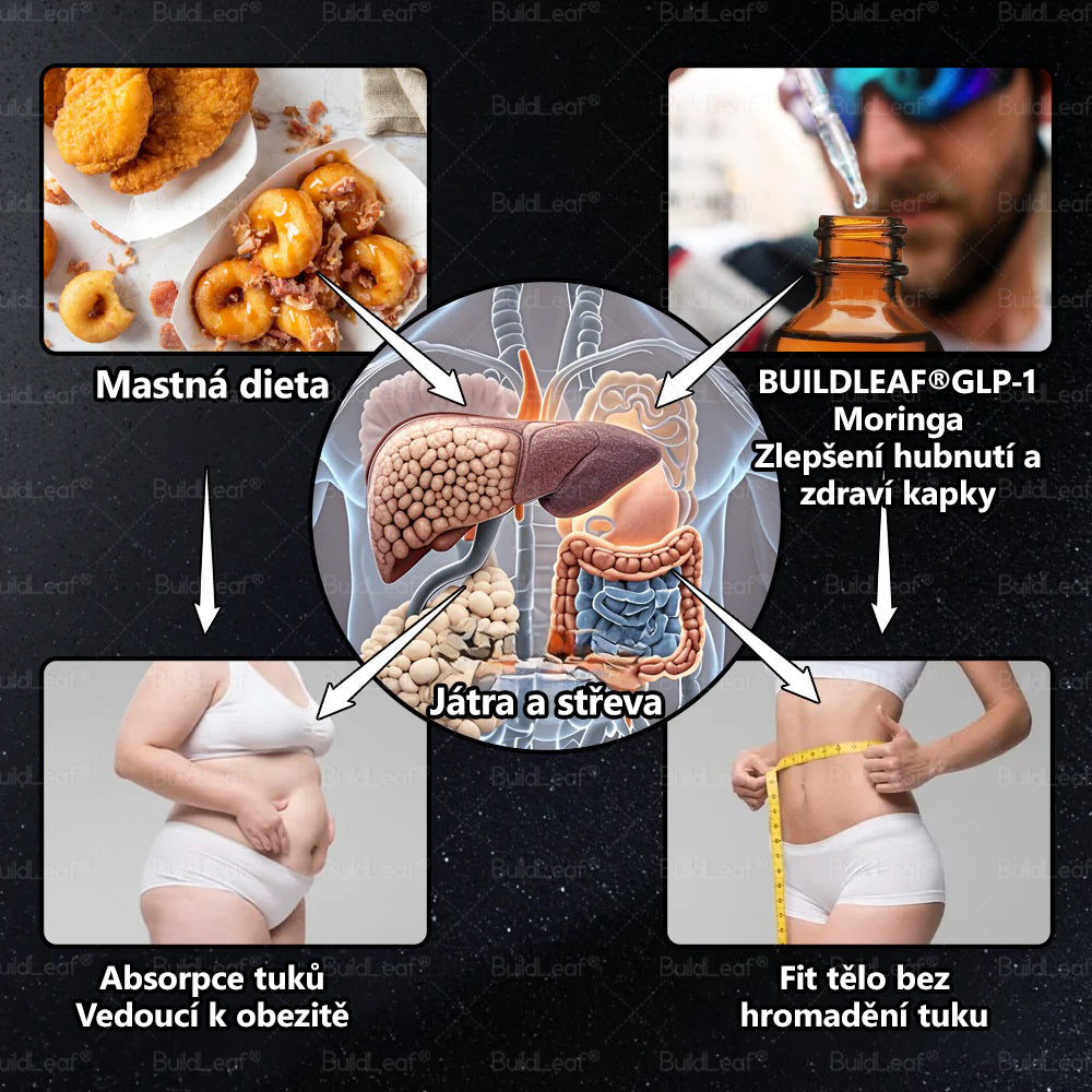 Oficiální doporučení České lékařské komory 💥 | BuildLeaf® TIRZEPATID GLP-1 rostlinného původu v perorálním roztoku